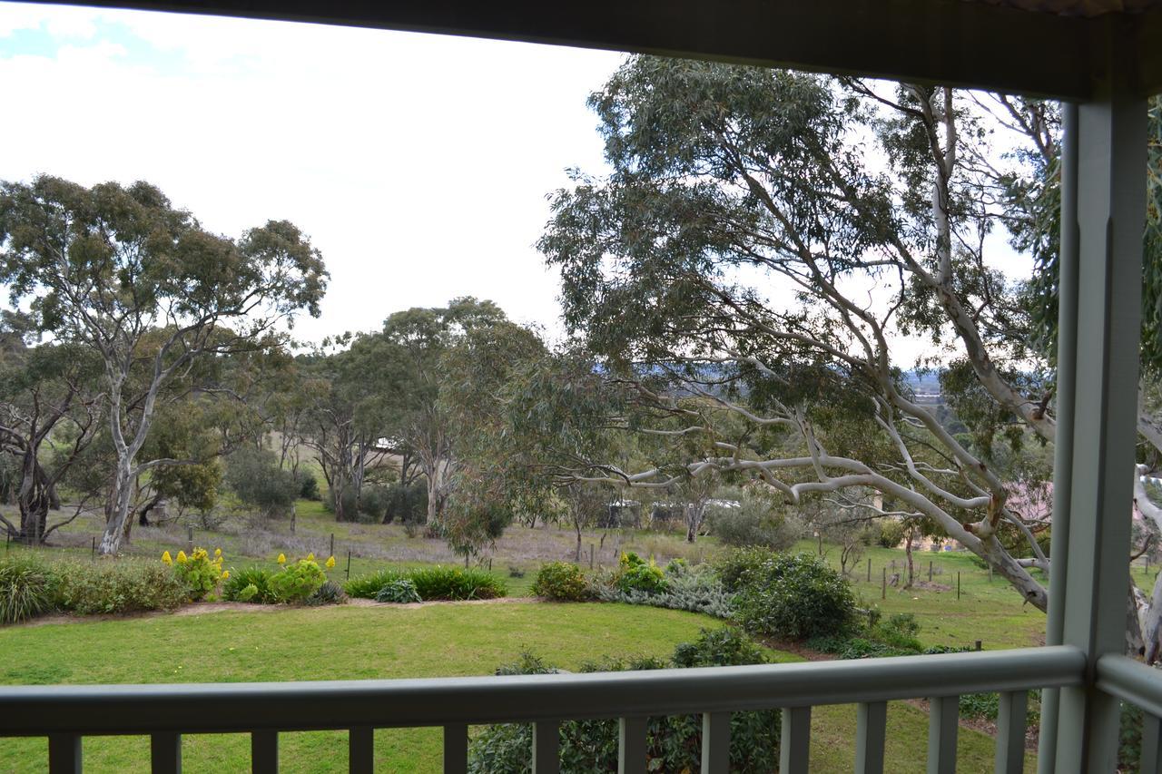 Angaston Saleyards Luxury Accommodation Extérieur photo