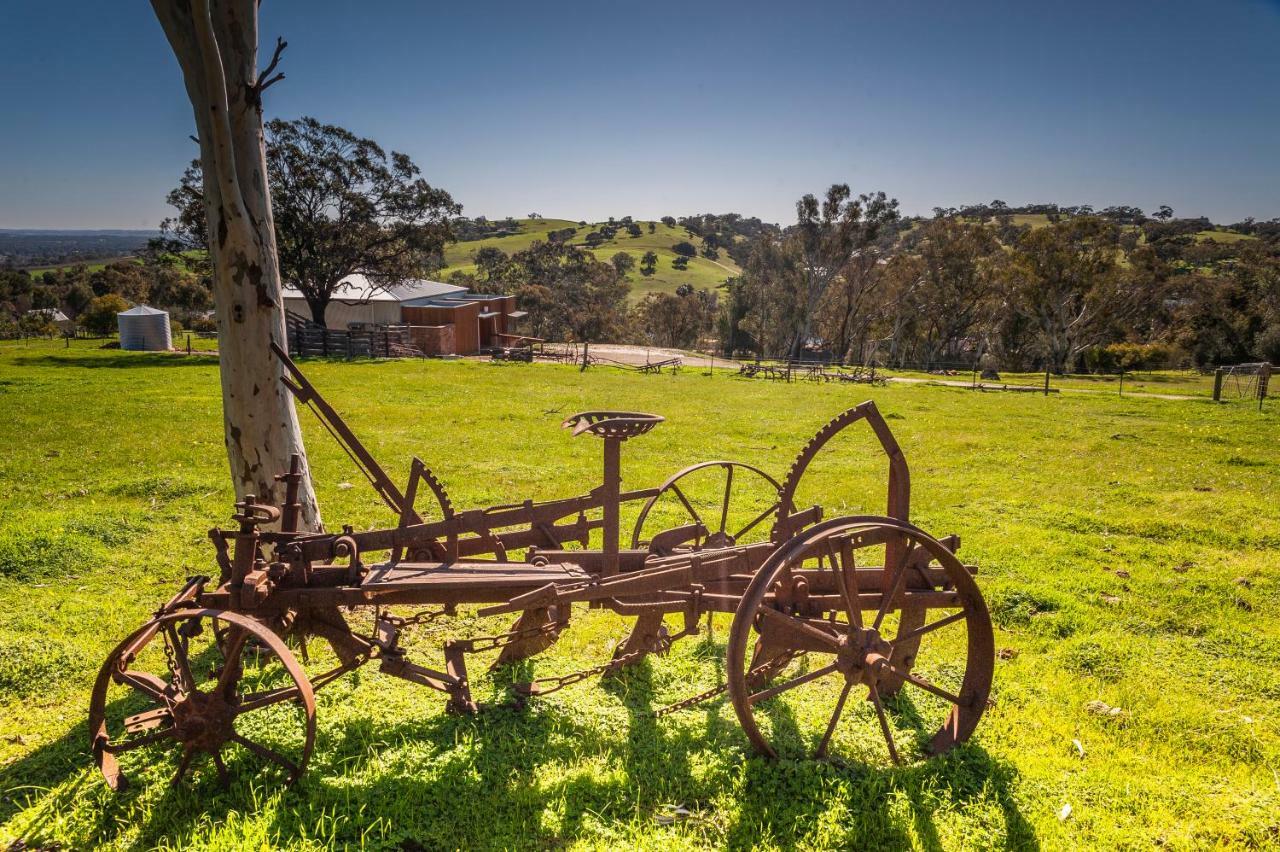 Angaston Saleyards Luxury Accommodation Extérieur photo